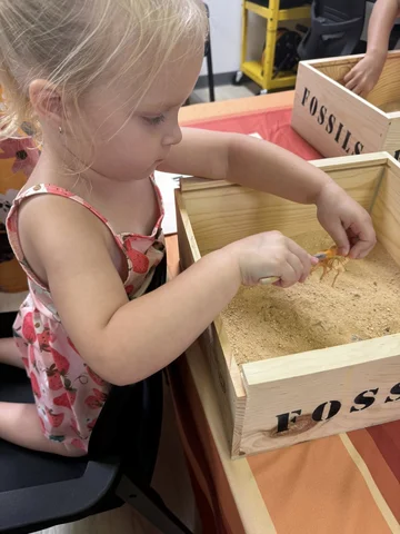 494610850_1156537786515939_6037944782364761738_n