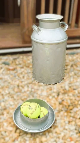 Milk Tos Website Preminum