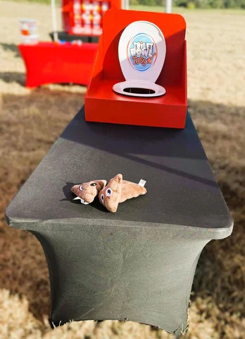 toilet bowl toss website